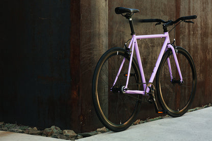 Lavender Haze - Core-Line
