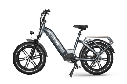 Himiway Big Dog Electric Bike - Cycleson