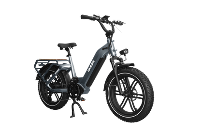 Himiway Big Dog Electric Bike - Cycleson
