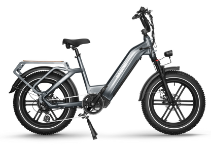 Himiway Big Dog Electric Bike - Cycleson